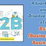Advantages and Disadvantages of B2B (Business-to-Business)