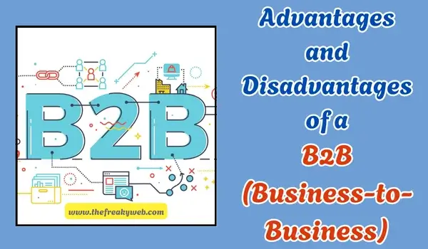 Advantages and Disadvantages of B2B (Business-to-Business)