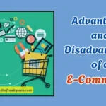 Advantages and Disadvantages of E-Commerce
