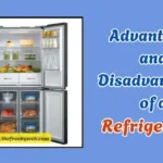 Advantages and Disadvantages of Refrigerator