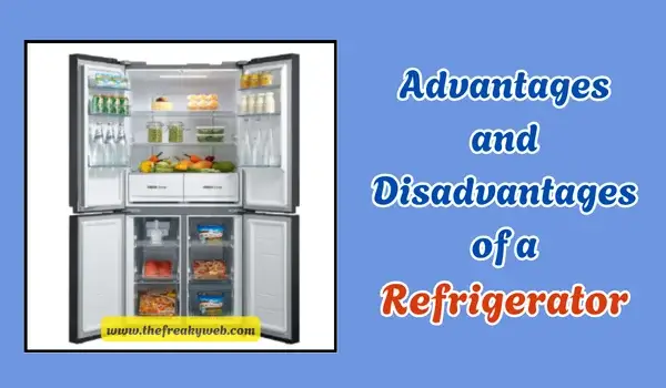 Advantages and Disadvantages of Refrigerator