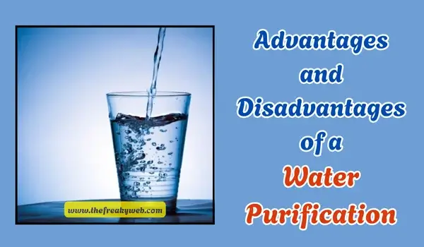 Advantages and Disadvantages of Water Purification